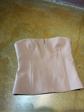 Zara Strapless Dusty Rose Bustier Top